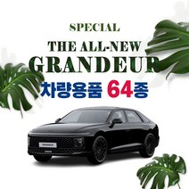 [차랑] 디올뉴 그랜저 GN7 튜닝 용품 인테리어 악세사리 모음 보호필름 스크래치 커버 스티커 쿠션, 25_아크릴 도어캐치 : 실버