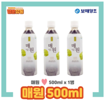보해 매원 500ml x 1병