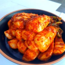 국내산 수제 매운 불 알타리 총각 김치 실비김치 1kg 3kg 5kg, 불김치_알타리김치_1kg
