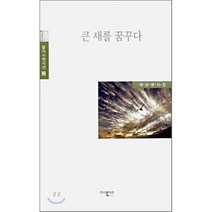 큰 새를 꿈꾸다, 다인아트