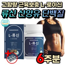 류신 타블렛 BCAA 분리 유청 단백질 헬스 보충 보조제 가성비 핼스 여성 남성 노인 시니어 올챙이배 멸치탈출 L 로이신 발린 이소로이신 식물성 동물성 복합 프로틴 필수 아미노산