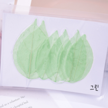 [드그라쎄] 캔들만들기 DIY재료, 35.프리저브드 스켈레톤 (그린)