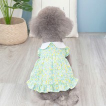 여름 애완 동물 드레스 일본 작은 신선한 꽃 공주 테디 베어 개 치마 보라색 녹색 귀여운 Ropa Perro, 01 green_05 XXL