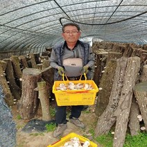 국산 참나무 말린표고버섯 슬라이스 건표고버섯 1kg, 건표고버섯500g, 1개