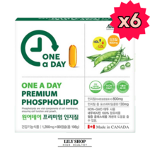 네추럴라이즈 원어데이 프리미엄 인지질 90캡슐 식약처 식약청 인정 인증 해썹 haccp 영양제 건강기능식품 식물성 레시틴 포스파티딜콜린 대두유 완제품 직수입 콜레스테롤 세포막, 90캡슐X6개, 6개
