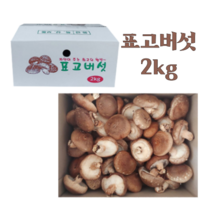 생 표고버섯 농장 산지직송 중품 2kg, 1개