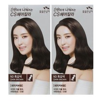 (무료배송)꽃을든남자 간편하게 나눠쓰는 CS 헤어 칼라 염색약, N3 흑갈색, 2개