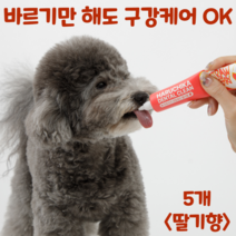 펫생각 하루치카 덴탈클린 강아지 치석제거 발라만 주는 치약 3종 천연 효소 딸기향 메론향, 5개, 딸기