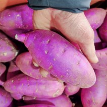 22년 햇 고구마 베니하루카 고구마 황토밭 꿀밤고구마 등급별판매, 1박스, 중(한입) 10kg