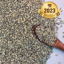 힘찬농부오달봉 국산 흑보리 검정보리쌀 흑찰보리, 1개, 5kg