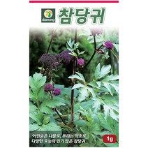 식용 색비름 2g - 씨 씨앗 색비름씨앗 색비름씨 안래홍 나물씨앗 민속채소 채소씨 채소씨앗 나물씨, 30_다농_참당귀(1g)