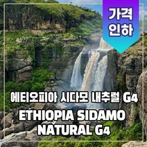 (커피생두) 16 에티오피아 시다모 내추럴 G4 1kg
