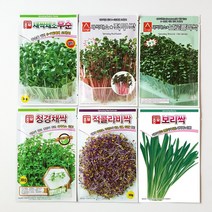 세경팜 새싹재배세트 대-씨앗6종(재배기+씨앗6종)