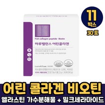 락토테미 하루 밸런스 어린콜라겐 피쉬콜라겐 펩타이드 콜라겐 비오틴 식약처 개별인정형 건강기능식품, 11박스, 하루밸런스 어린콜라겐 x 30포