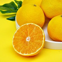 제주직송 고당도 제주 황금향 가정용 꼬마과 2kg, 1박스