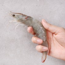 (무료배송)신선한 페루산 냉동 흰다리새우 2kg, 1개
