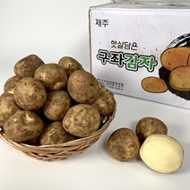 감자5kg특 추천상품 정리