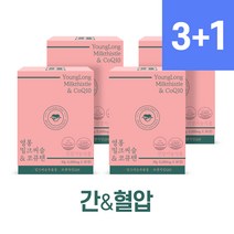 영롱 밀크씨슬 & 코큐텐 4개, 30정, 30정