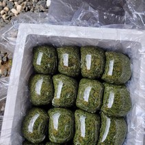 제주도 쑥으로 만든 현미 쑥인절미 쑥떡 2KG, 흑임자고물
