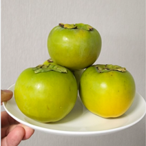 한정판매)고당도 아삭 햇태추 단감 배단감 중과 중대과 2kg 3kg 5kg, 3kg 중대과, 1개