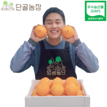 제주 산지직송 우수농산물(GAP) 인증 선물 1위 게르농법 고당도 레드향, 레드향 / 3kg / 선물세트 / 13~16과