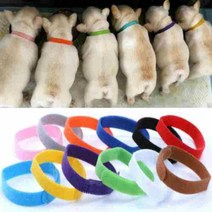 강아지 고양이 출산준비물 탯줄 목걸이 12색SET 새끼구별 목줄 인식표, XL