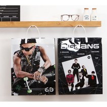 빅뱅굿즈 PP 광택가방 코팅쇼핑백 10p 도시락봉투 화분포장, 단일사이즈