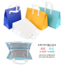 골든트리 심플 무지 칼라 보온보냉 부직포 손잡이 백 쿨러백 아이스백 보온백 보온가방, 대 - 하늘색