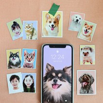[1+1] 반려동물 증명사진 스티커 보정파일 무료제공, 8컷세트(반명함3*4) 스티커, 재단해주세요, 괜찮아요(단품)