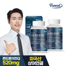 퍼니트 리얼 콘드로이친 영양제 90g, 90정, 2개