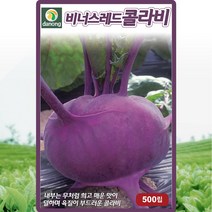 비너스 레드 콜라비 씨앗 콜라비 씨 종자 500립, 단품