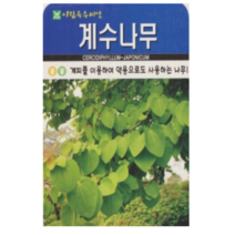 보람농자재 계수나무 씨앗 [500립]