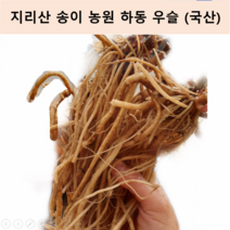 지리산송이농원 20222년 6월 하동 우슬 ( 국산 ), 200g