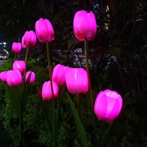 신성나라 태양광 튤립 정원등 LED 조화 꽃조명 화단 정원 베란다 꾸미기 야외등 잔디정원등, 화이트