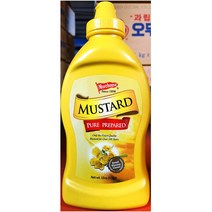 업소 업소용 머스타드 모아하우스 454g 머스타 소스 모아/머스타드/머스타드소스/머스타소스/액상소스소스/양념/식자재/식자제/식자재쇼핑몰, 단일 수량