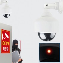 안전방범 외부형 CCTV 모형 감시카메라 도난방지, 색상랜덤-외부형cctv-F타입-AA건전지2개포함