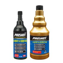 프로샷 수분제거 동결방지제 GDI CRDI 엔진보호 가솔린 디젤 공용 인젝터 연료펌프 고장예방, 가솔린&디젤 공용 300ml (일반/소형/중형/차량용), 소형,중형차량용