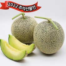 추석선물 추천 고창 저탄소 GAP 인증 멜론 프리미엄 과일 선물세트 4kg 8kg, 고창 저탄소 GAP 인증 멜론 4kg 2입