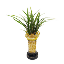 웰컴플라워 동양난 서양난 동서양난, 5 황용관, 1개