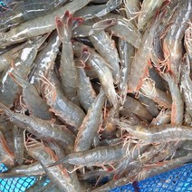 바다애수산 신안 급냉 왕새우 흰다리새우 1kg 20~29미내외, 1개