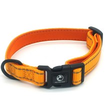 펫스츄리 반려견 에어쿠션 목줄, ORANGE