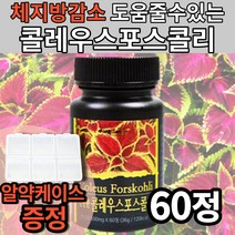 체지방 감소 도움 콜레우스포스콜리 콜레우스포콜리 코레우스 코리우스 코렐우스 폴레우스 콜리우스 콜리스 골레우스 콜리우 포스콜리 포콜리 포스키 포스콜 스포콜리 스포골리 먹는 방법 법