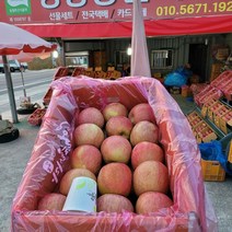 정광농원 밀양 얼음골사과 꿀 사과 선물용 산지직송 농가직판 사과즙, 5kg 16과