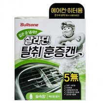 불스원 에어컨 훈증캔 탈취 냄새제거 훈증 히터, 숲속