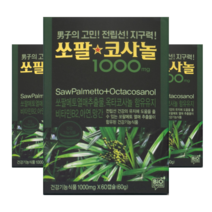 쏘팔메토 옥타코사놀 1000mg 60캡슐 3개