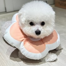 도그캣연구소 반려동물 편안한 넥카라 넥가드링, 핑크