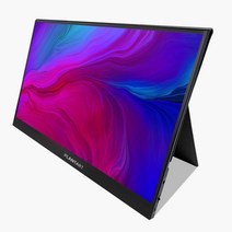 플랜타트 52cm FHD DEX 포터블 HDR 멀티터치 휴대용 모니터, P156DT (터치기능 있음)