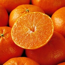 블루제주 레드향 가정용 4.5kg(15-25과), 블루제주 레드향 가정용 4.5kg(2