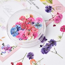 드라이플라워 투톤 안개꽃 6종믹스, 단품, 단품