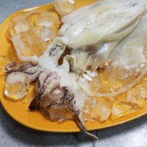 [바다의행복] 국내산 여수 반건조 갑오징어(대) x 2팩, 단품